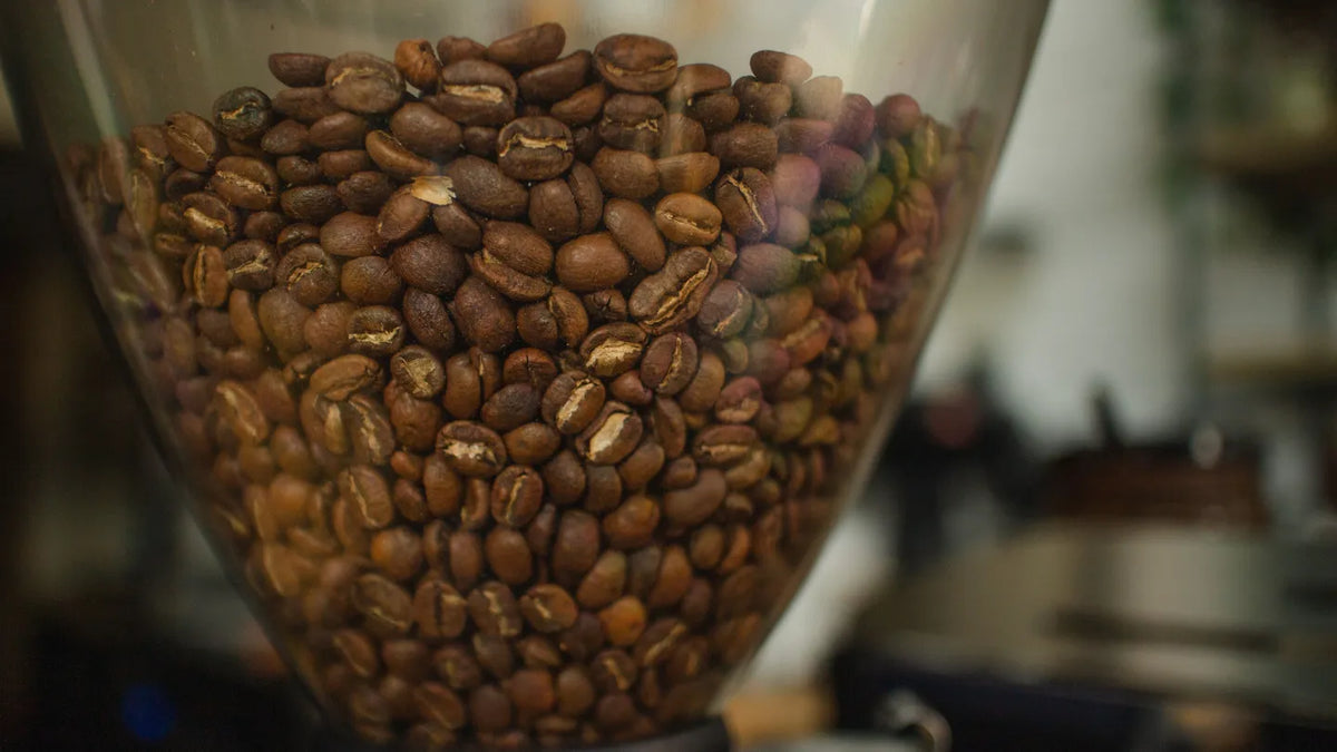 Koffiebonen in de glazen bonenbak van een molen.