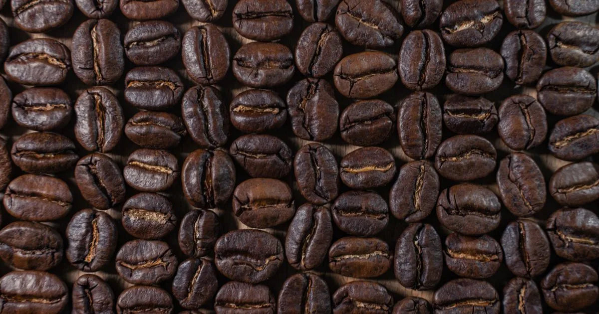 Arabica vs Robusta: What's Actually in Your Cup