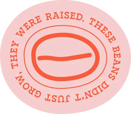 Asset_56 - Camino Coffee