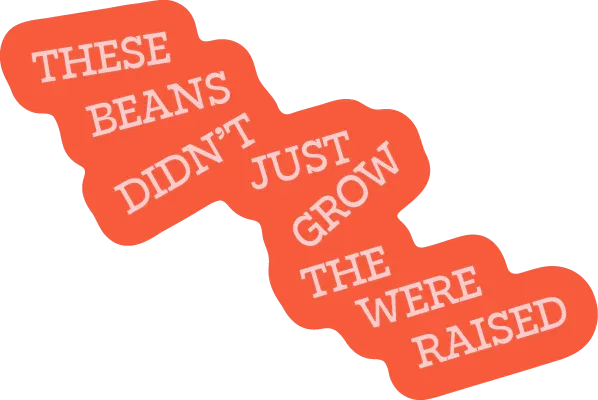 Asset_97 - Camino Coffee