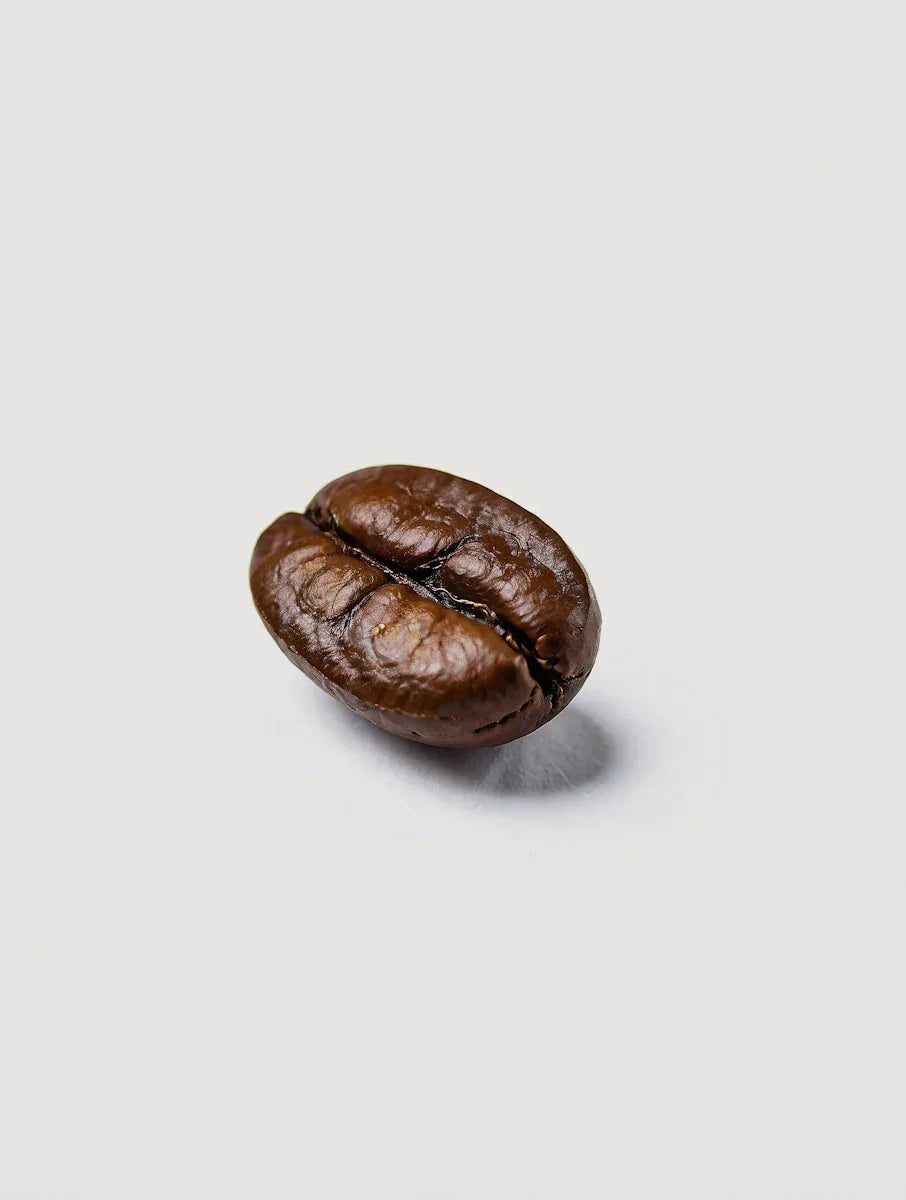 Camino_Coffee-Image__1 - Camino Coffee