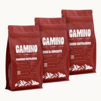 Camino Discovery Pack
