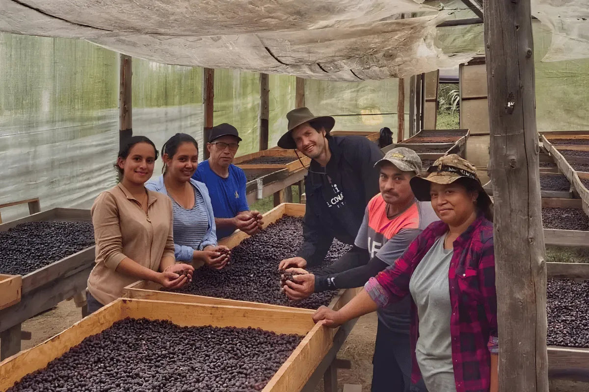 Smiling farm team hand-sorting coffee cherries on raised drying beds in El Salvador