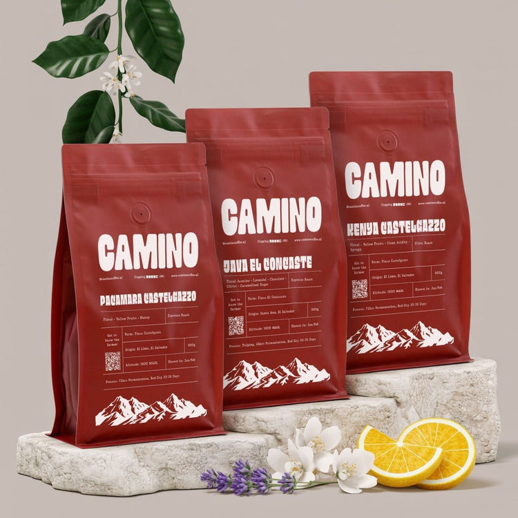 Camino Discovery Pack - Camino Coffee