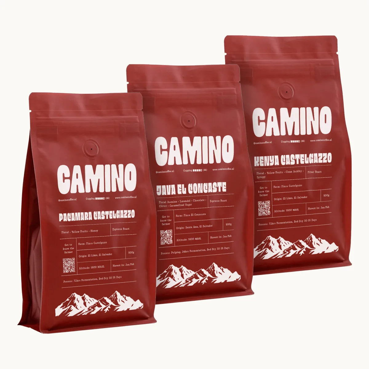 Camino Discovery Pack: three single origin specialty coffees from El Salvador — Pacamara, Java El Concaste and Kenya
