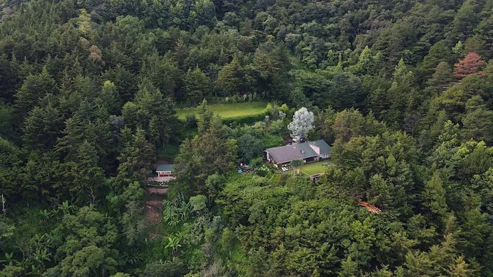 Aerial view of the El Concaste coffee farm ringed by 250 acres of reforested cypress and pine forest, El Salvador