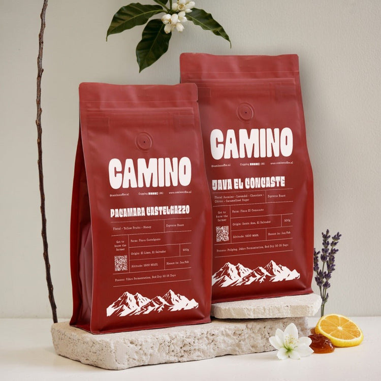 Espresso discovery pack - Camino Coffee