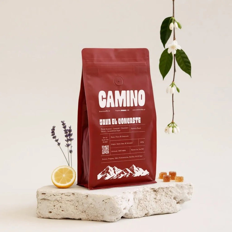 Java El Concaste - Camino Coffee