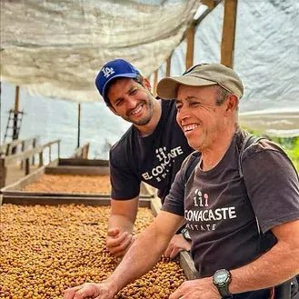 Java El Concaste - Camino Coffee