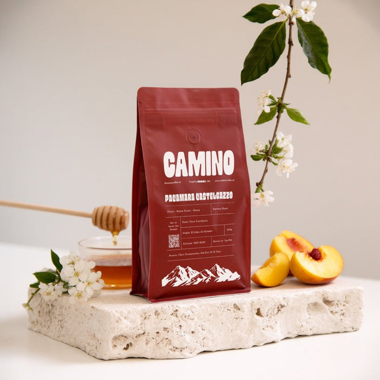 Pacamara Castelgazzo - Camino Coffee
